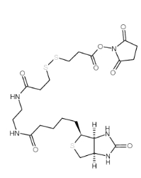 142439-92-7；Biotin-bisamido-SS-NHS ester；3-[3-[2-(生物素酰胺)乙基]氨基-3-氧代丙基]二硫基]丙酸琥珀酰亚胺酯	