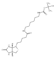 153162-70-0；N-Boc-6-Biotinamidohexylamine；N-BOC-6-生物素酰氨基己胺	