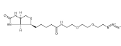 （+）-Biotin-PEG3-CH₂CH₂N₃|cas:945633-30-7|生物素-聚乙二醇3-叠氮乙烷