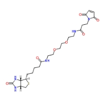 305372-39-8；Biotin-PEG2-amido-Mal；生物素-二聚乙二醇-酰胺-马来酰亚胺	