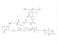 Dde TAMRA Biotin Azide|2353409-56-8|Dde四甲基罗丹明-生物素-叠氮