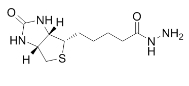 Biotin hydrazide 66640-86-6 生物素酰肼