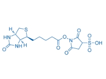190598-55-1；Biotin sulfo-N-hydroxysuccinimide ester；2,5-二氧代-1-((5-((3AS,4S,6AR)-2-氧代六氢-1H-噻吩并[3,4-D]咪唑-4-基)戊酰基)氧基)吡咯烷-3-磺酸	