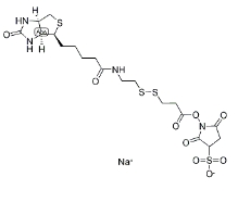 122266-55-1；2-[生物素氨基]乙基-1,3-二硫基丙酸磺基琥珀酰亚胺酯；BIOTIN-X-NHS, WATER-SOLUBLE, CLEAVABLE	