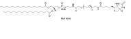 385437-57-0，Biotin-PEG2000-DSPE，DSPE-PEG2000-Biotin