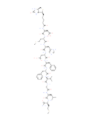 	Biotinyl-Neurokinin B  