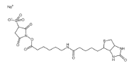 Sulfo-NHS-LC-Biotin 127062-22-0 6-(生物素酰胺)己酸磺酸基琥珀酰亚胺酯钠盐