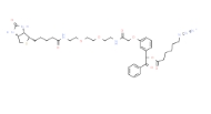 UV Cleavable Biotin-PEG2-Azide,1654739-36-2，紫外可裂解生物素-二乙二醇-叠氮化物