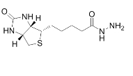 66640-86-6，Biotin hydrazide HCl，生物素酰肼