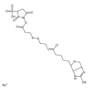 Biotin-SS-Sulfo-NHS ester；CAS:325143-98-4；磺酸基活性酯二硫生物素