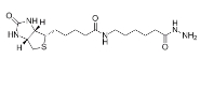 CAS: 109276-34-8/Biotin-LC-Hydrazide/ (+)-生物素胺己酰肼/生物素标记