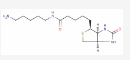 CAS:115416-38-1，5-（生物素酰胺基）戊胺，5-(Biotinamido)pentylamine