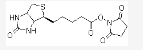 CAS:35013-72-0，(+)-生物素-N-羟基琥珀酰亚胺酯，(+)-Biotin N-hydroxysuccinimide ester