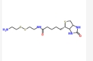 CAS:128915-82-2,Biotinyl Cystamine，生物素-半胱胺