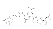 178603-73-1，生物素标记肽Biotin-DEVD-醛基化