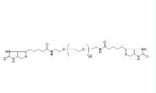 CAS：293298-36-9，Bis-Biotin-PEG23  
