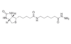 109276-34-8，生物素LC酰肼，BIOTINAMIDOCAPROYL HYDRAZIDE	