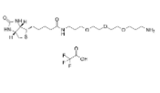 Biotin-C1-PEG3-C3-amine TFA  