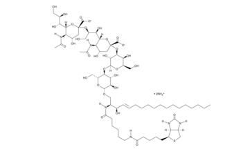 C6 Biotin Ganglioside GD3 (d18:1/6:0)  