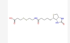 CAS:104582-29-8，Biotin-SS-COOH，生物素二硫羧基