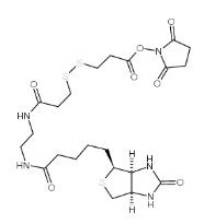 142439-92-7,Biotin-bisamido-SS-NHS ester