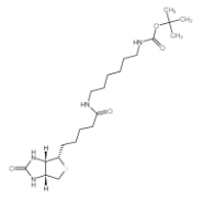 153162-70-0，N-Boc-6-Biotinamidohexylamine，N-生物素-N'-Boc-1,6-己二胺