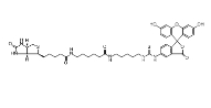 5-FITC Biotin，134759-22-1，5-荧光素-生物素