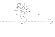 12:0 生物素-18:1 PE cas:2260669-91-6 Ganglioside GM3-d5 Bovine Milk ammonium salt