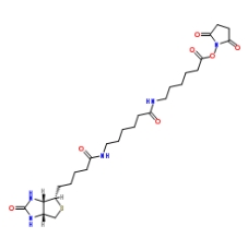  [CAS 89889-52-1]，Biotin-LC-LC-NHS，生物素-LC-LC-琥珀酰亚胺酯