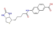 N-Biotinyl-6-amino-2-naphthoic Acid，1217755-61-7，N-生物素-6-氨基-2-萘甲酸