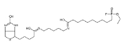 FP-Biotin，CAS:259270-28-5，FP-生物素