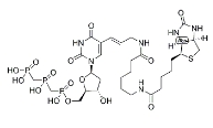 Biotin-11-dUTP，1221498-88-9