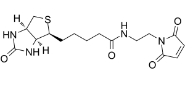 139554-72-6，Biotin C2 maleimide，生物素C2马来酰亚胺