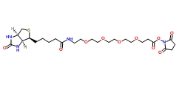 15-Biotinlamino-4,7,10,13-Dioxanonanoic Acid N-Hydroxysuccinimidyl Ester，CAS:459426-22-3