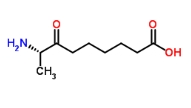 KAPA hydrochloride (7-keto-8-Aminopelargomic Acid)，CAS:177408-65-0，KAPA(盐酸盐)