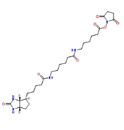 Biotin-LC-LC-NHS，CAS:89889-52-1，N -[6-(生物素氨基)己酰基]-6-氨基己酸N-琥珀酰亚胺酯
