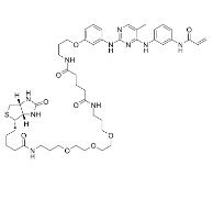CNX-500，CAS:1202758-21-1，生物素探针