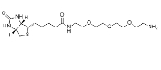 Amine-PEG3-Biotin，359860-27-8，生物素三聚乙二醇氨基