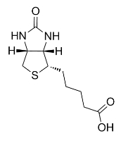 58-85-5，D-Biotin，D-生物素，Biotin(d-Biotin)