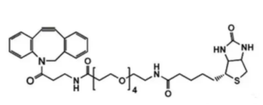 二苯基环辛炔-PEG4-生物素  