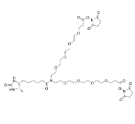 2353409-61-5；N-Desthiobiotin-N-bis(PEG4-NHS ester)；用于双功能的交联和标记