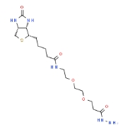 cas:2413847-26-2 生物素-PEG2-酰肼 Biotin-PEG2-Hydrazide 多功能的生物偶联试剂 cas:2413847-26-2 生物素-PEG2-酰肼 Biotin-PEG2-Hydrazide 多功能的生物偶联试剂