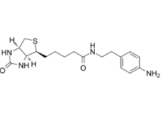 Biotin-aniline	769933-15-5	生物素-苯胺