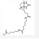 89889-51-0,LC-LC-(+)-生物素,Biotin-C5-amino-C5-amino,生物素衍生物