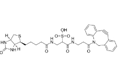 DBCO-Sulfo-Link-biotin	1363444-70-5	          DBCO-磺基连接-生物素