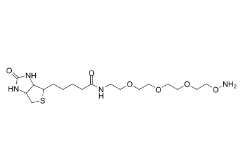 Biotin-PEG3-oxyamine	1786206-22-1	           生物素-PEG3-氧胺盐酸盐