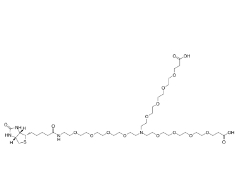 N-(Biotin-peg4)-n-bis(peg4-acid)	2112731-48-1       	N-(生物素-聚乙二醇4)-N-双(聚乙二醇4-酸)