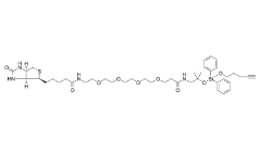 Biotin-PEG4-amino-t-Bu-DADPS-C3-alykne	2241685-22-1	     二烷氧基二苯基硅烷-生物素-炔基