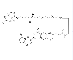 PC Biotin-PEG3-NHS Ester	2353409-93-3	          PC生物素-PEG3-NHS酯