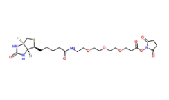 Biotin-PEG3-NHS ester	1253286-56-4	         生物素三聚乙二醇琥珀酰亚胺酯